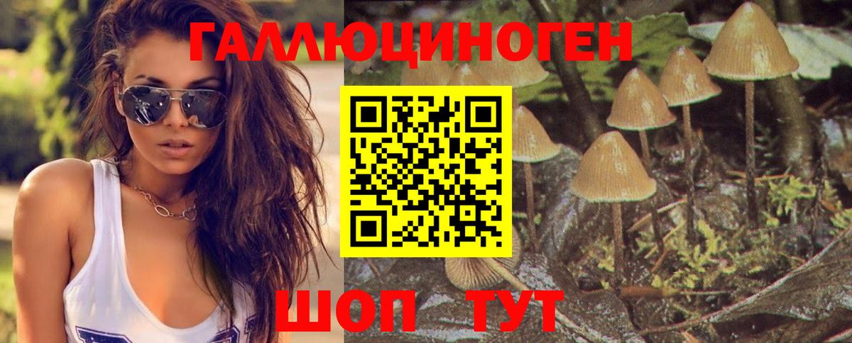 Псилоцибиновые грибы Magic Shrooms Видное